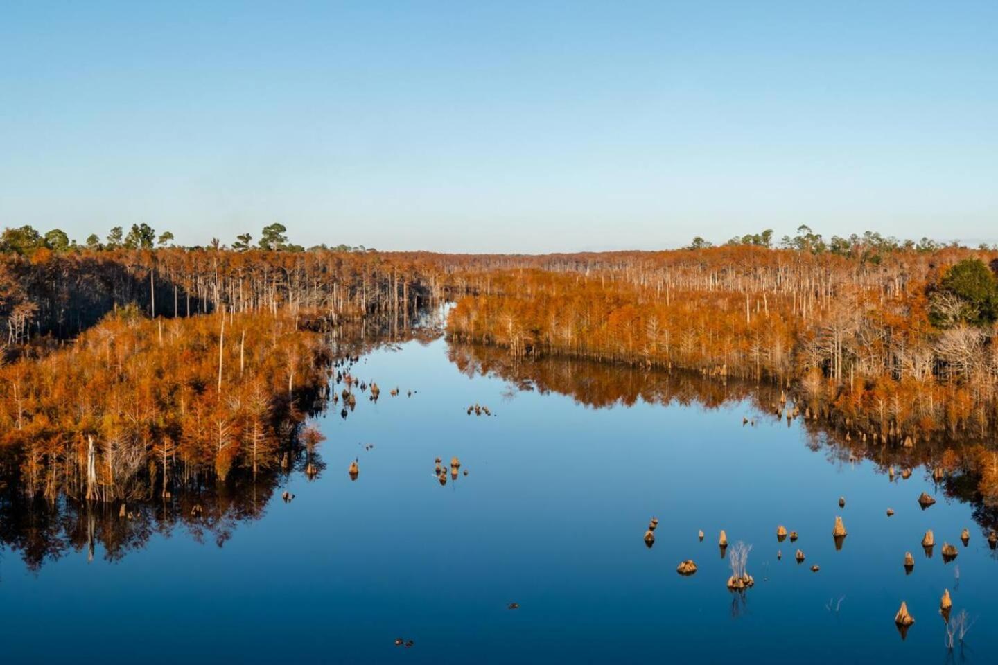 The Intracoastal photo 11