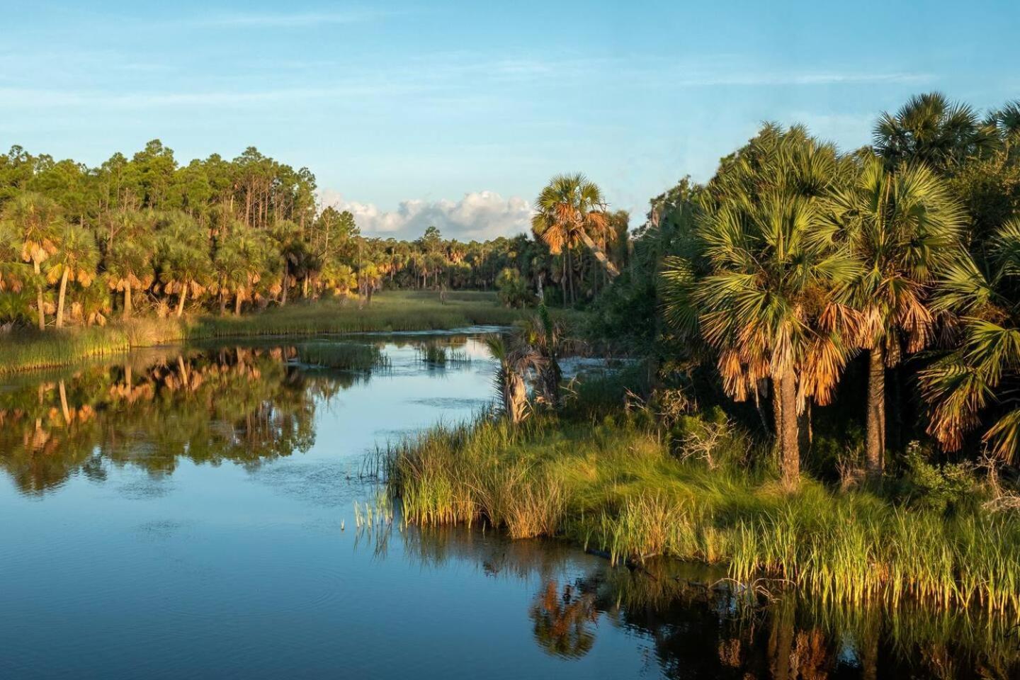The Intracoastal photo 9