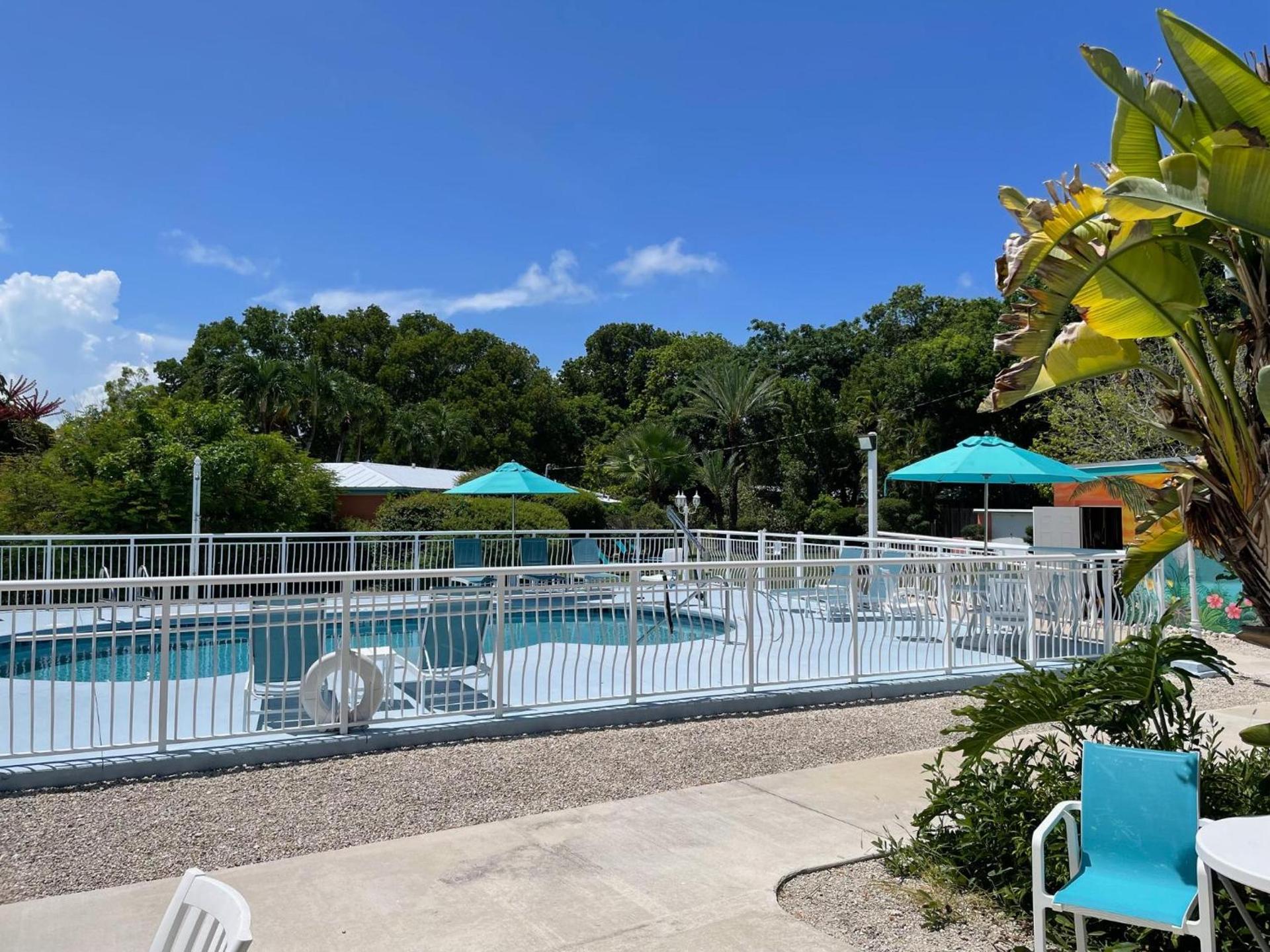 Rock Reef Resort photo 91