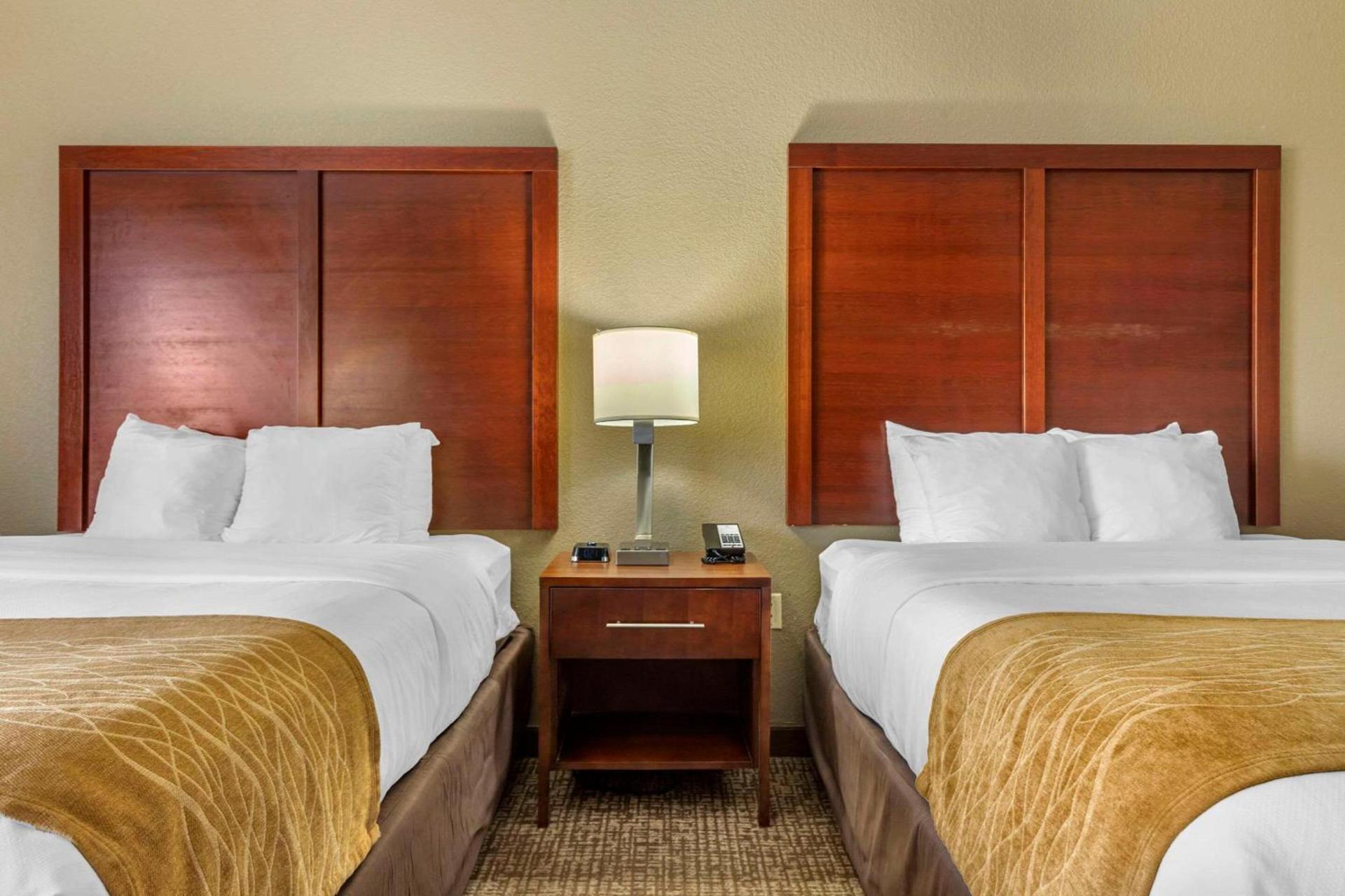Comfort Inn & Suites Mocksville I-40 photo 13