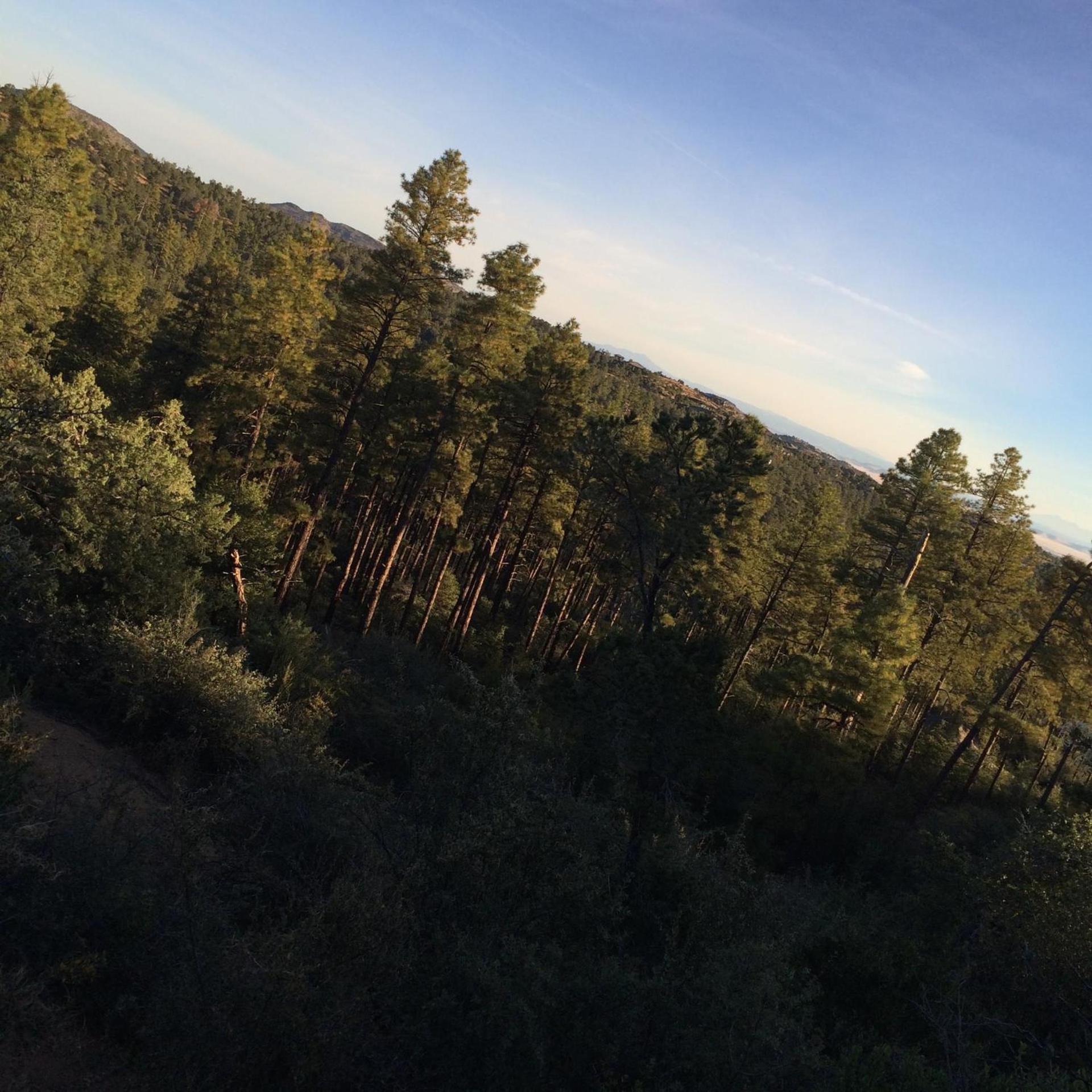 Apple Creek Cottages photo 5