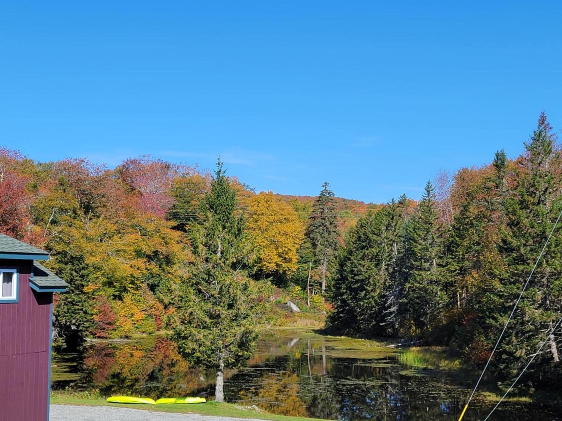 Pinnacle Lodge photo 17