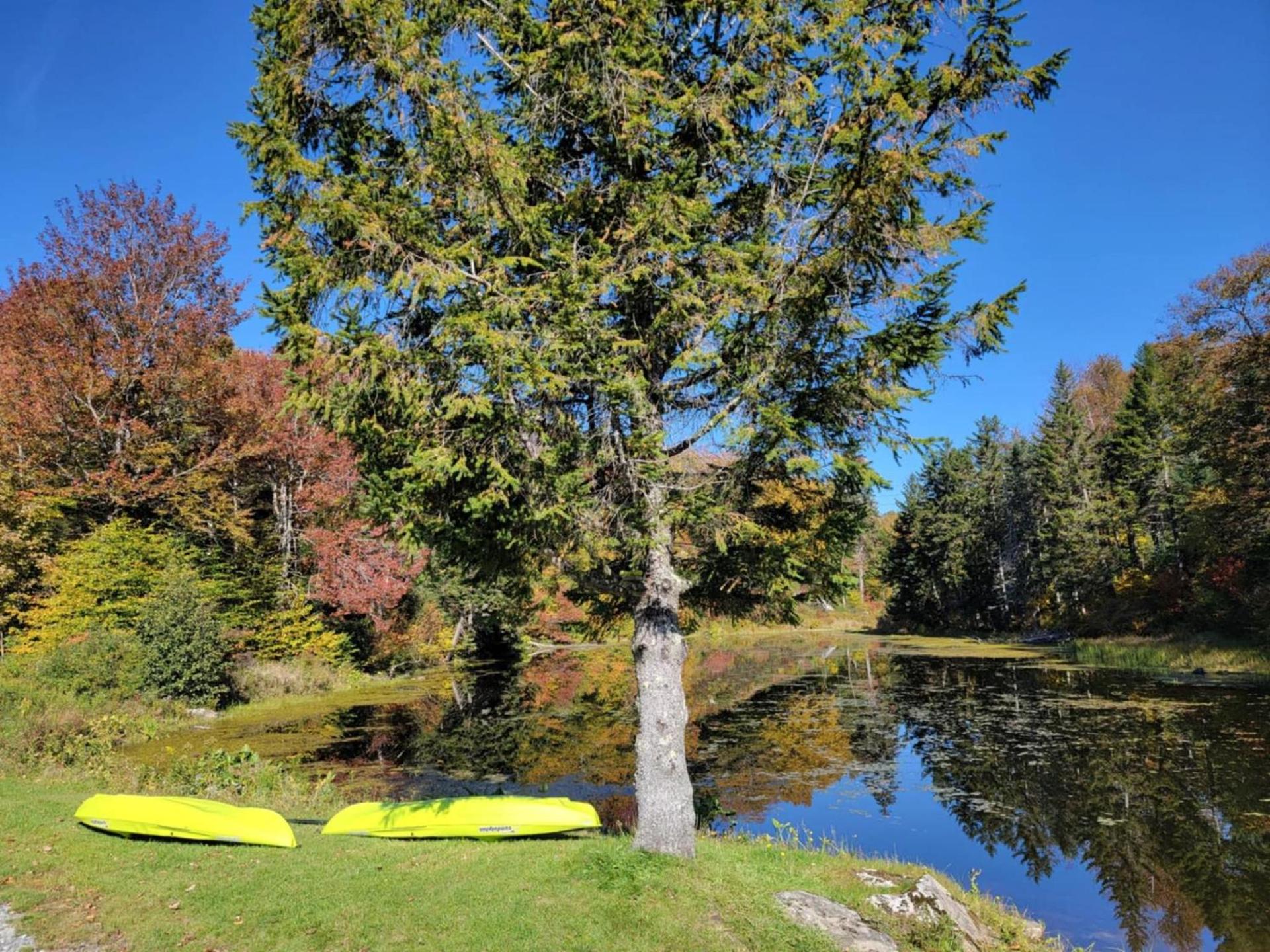Pinnacle Lodge photo 18