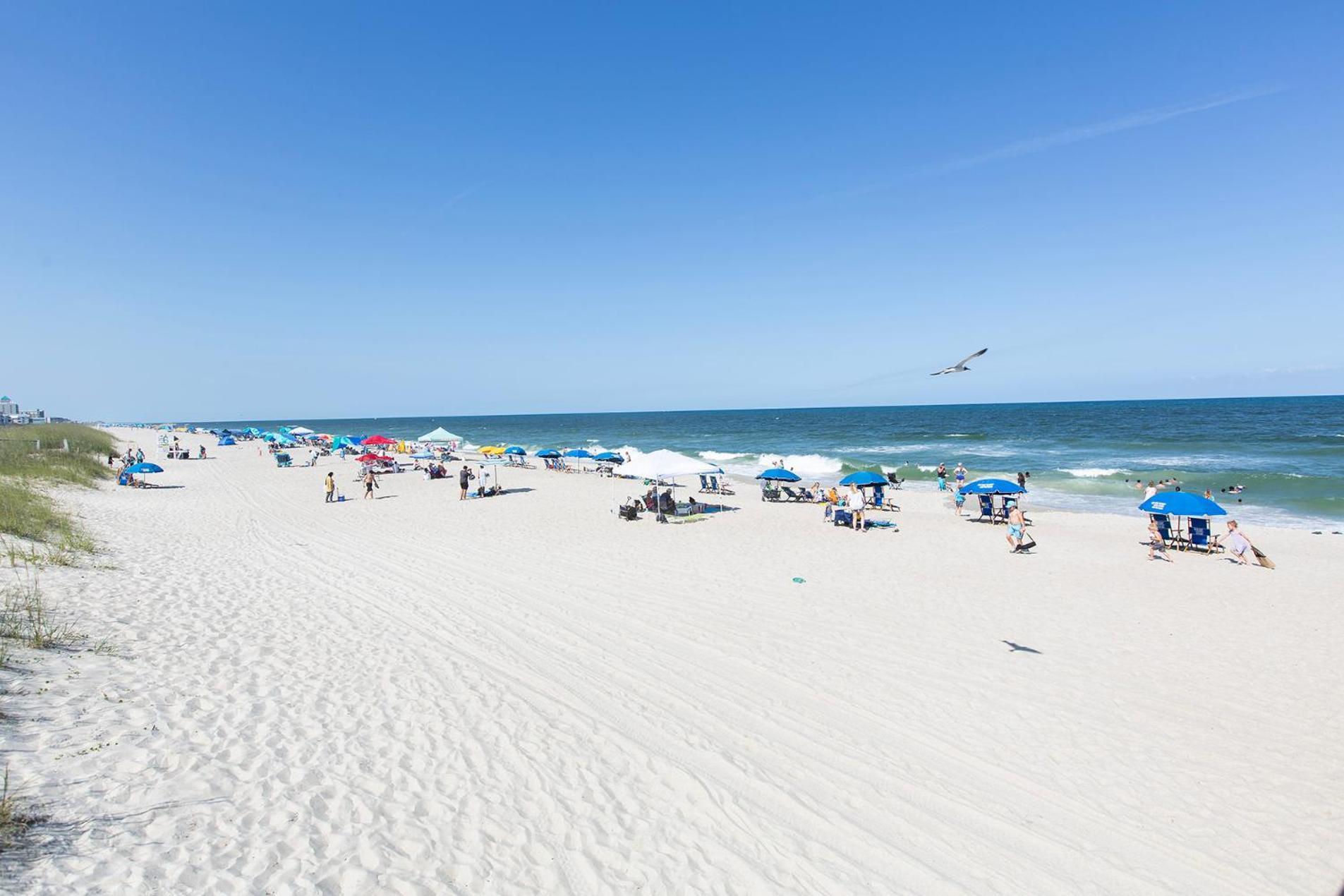 Golden Sands Carolina Beach Oceanfront, Tapestry by Hilton photo 59