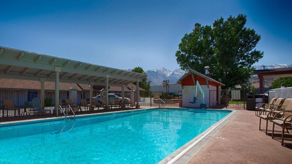 Best Western Frontier Motel photo 6