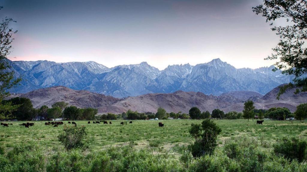 Best Western Frontier Motel photo 43