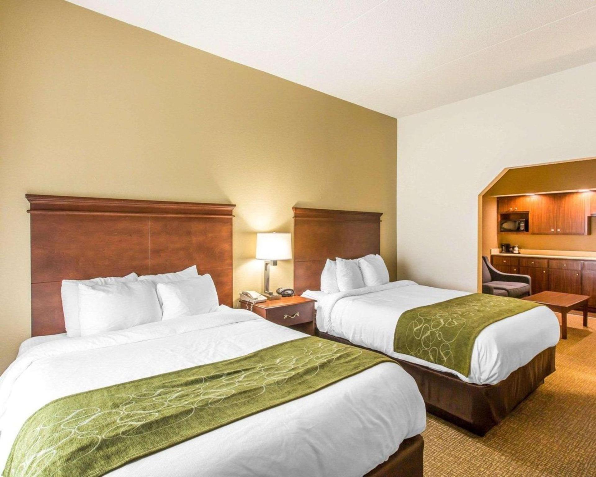 Comfort Suites Cookeville photo 13