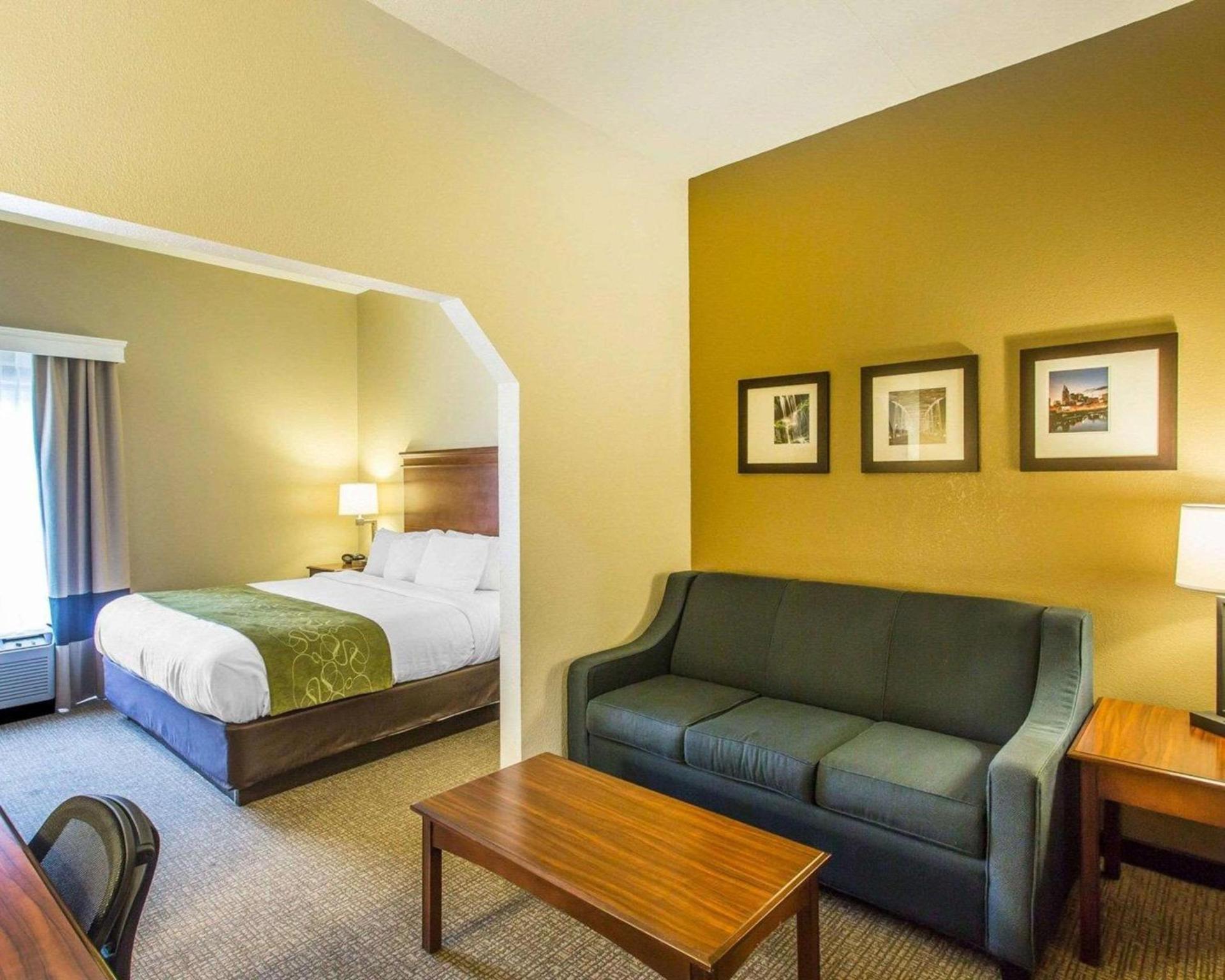 Comfort Suites Cookeville photo 16