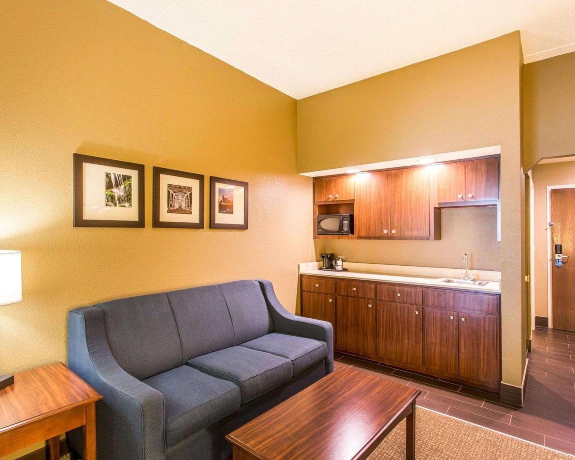 Comfort Suites Cookeville photo 20