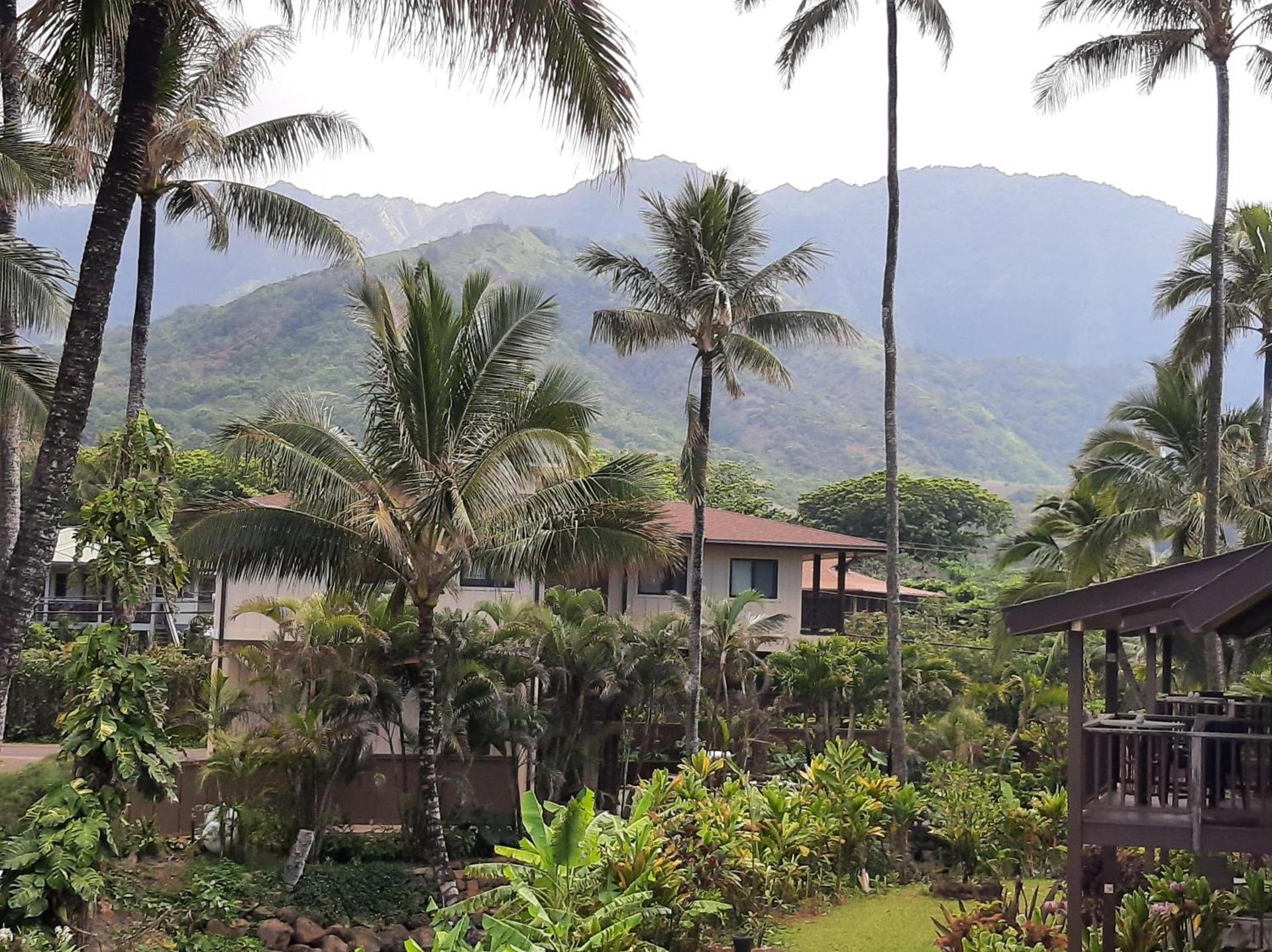 Hanalei Colony Resort H4 photo 13