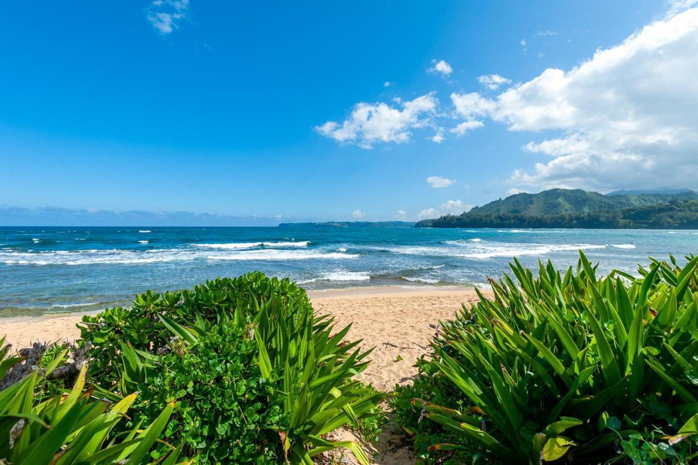 Hanalei Colony Resort I-2 photo 21