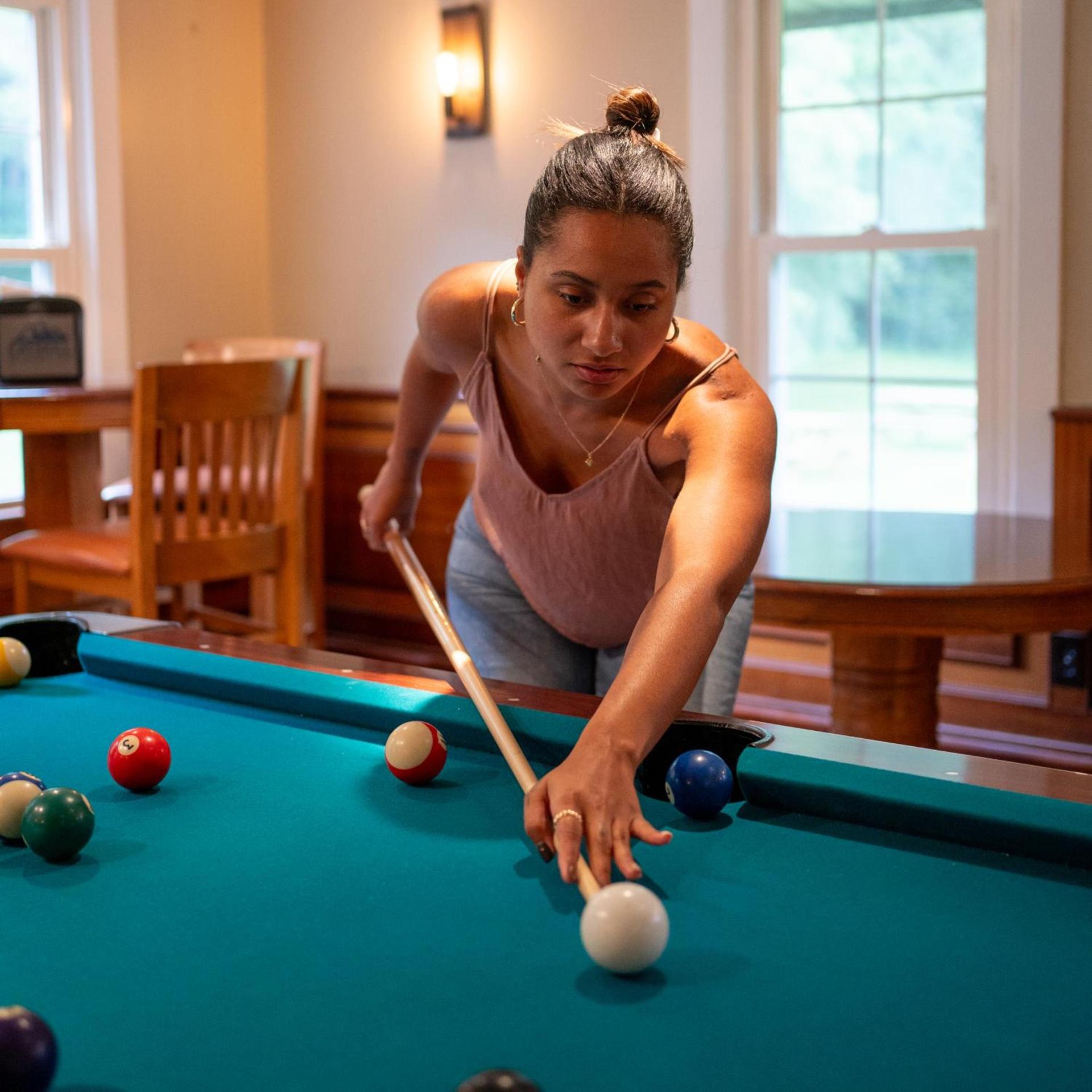 Catskill Seasons Inn photo 4