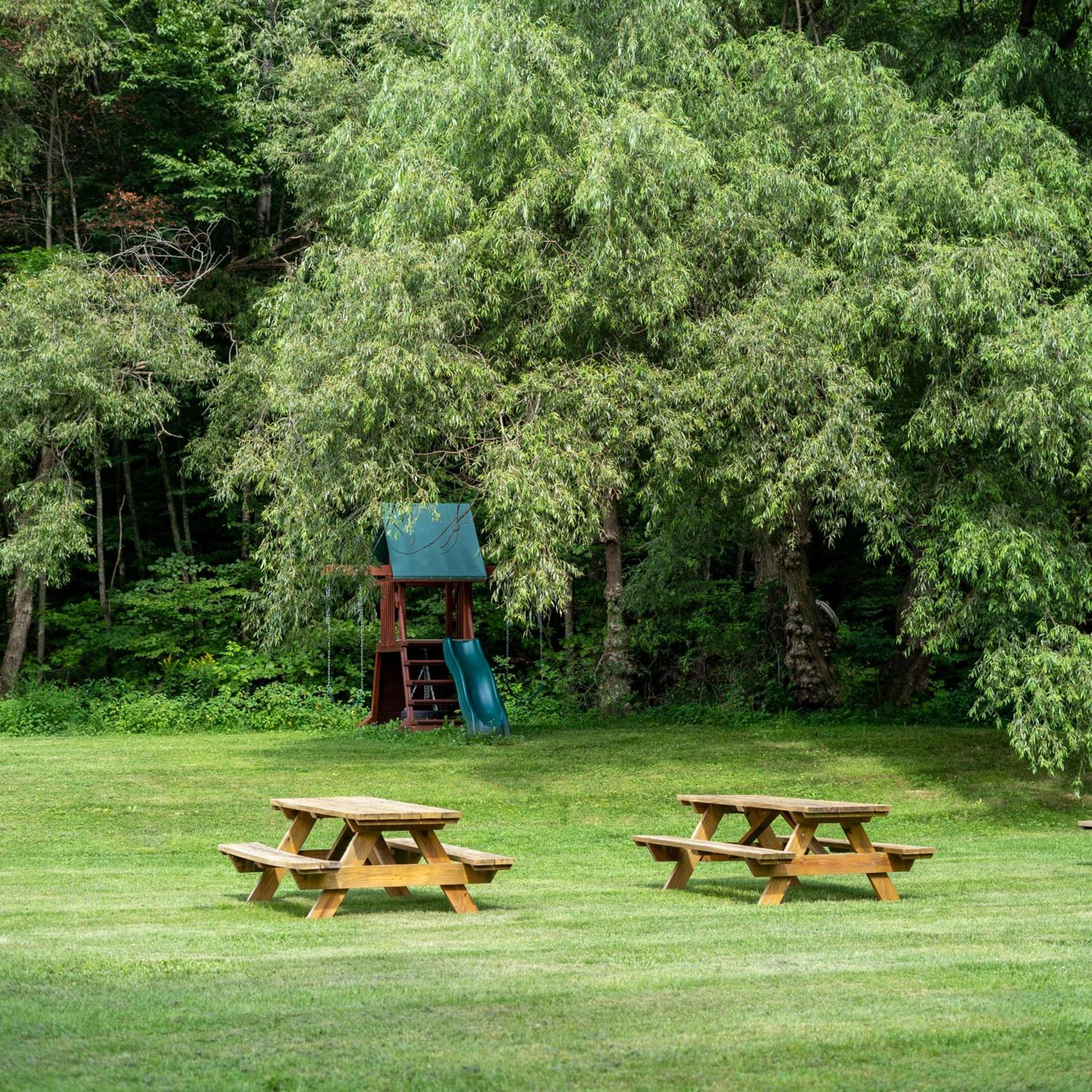 Catskill Seasons Inn photo 10