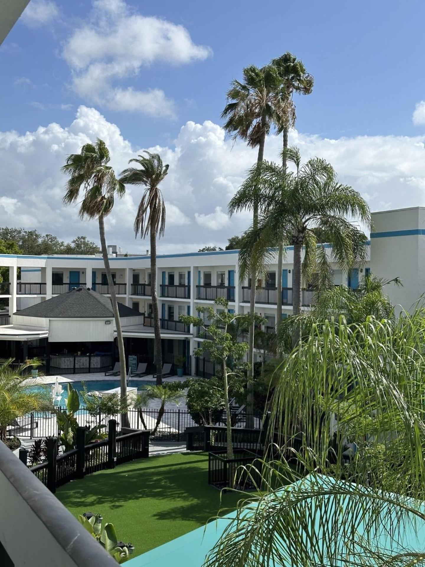 OASIS BAY SUITES, Tampa, Busch Gardens, USF photo 17