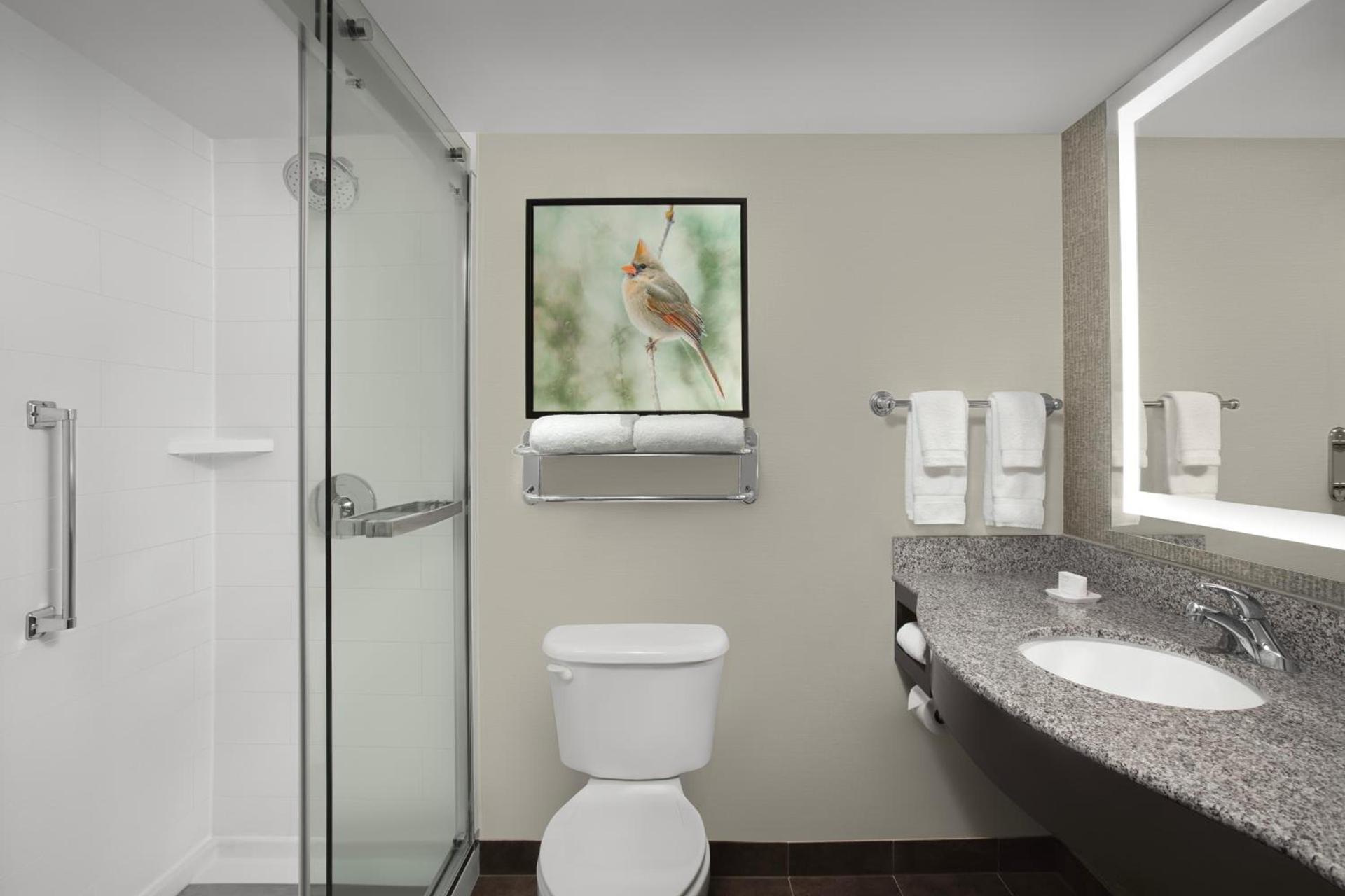 Hilton Garden Inn Hoffman Estates photo 36