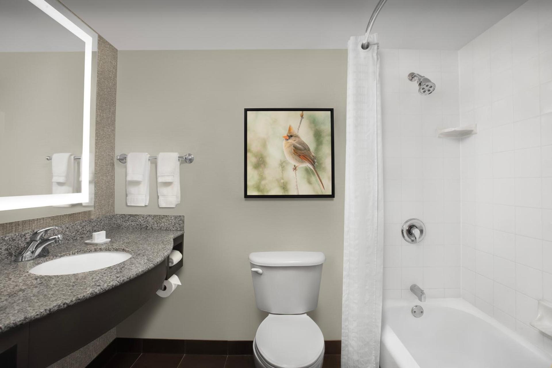 Hilton Garden Inn Hoffman Estates photo 15