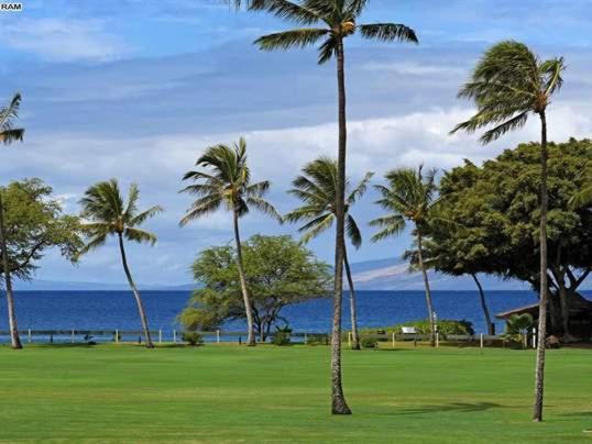 Maui El Dorado Resort photo 61