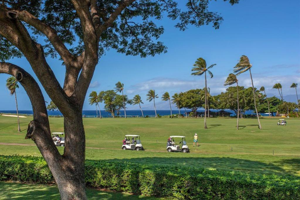 Maui El Dorado Resort photo 58
