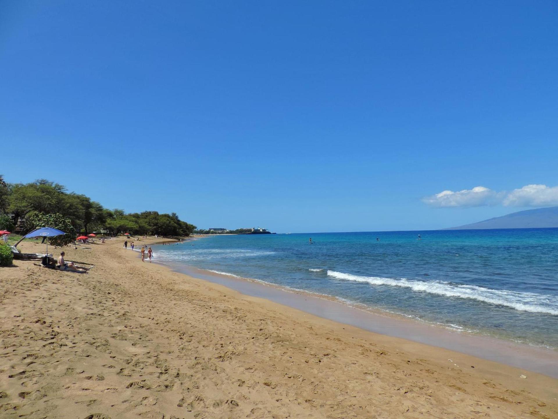 Maui El Dorado Resort photo 47