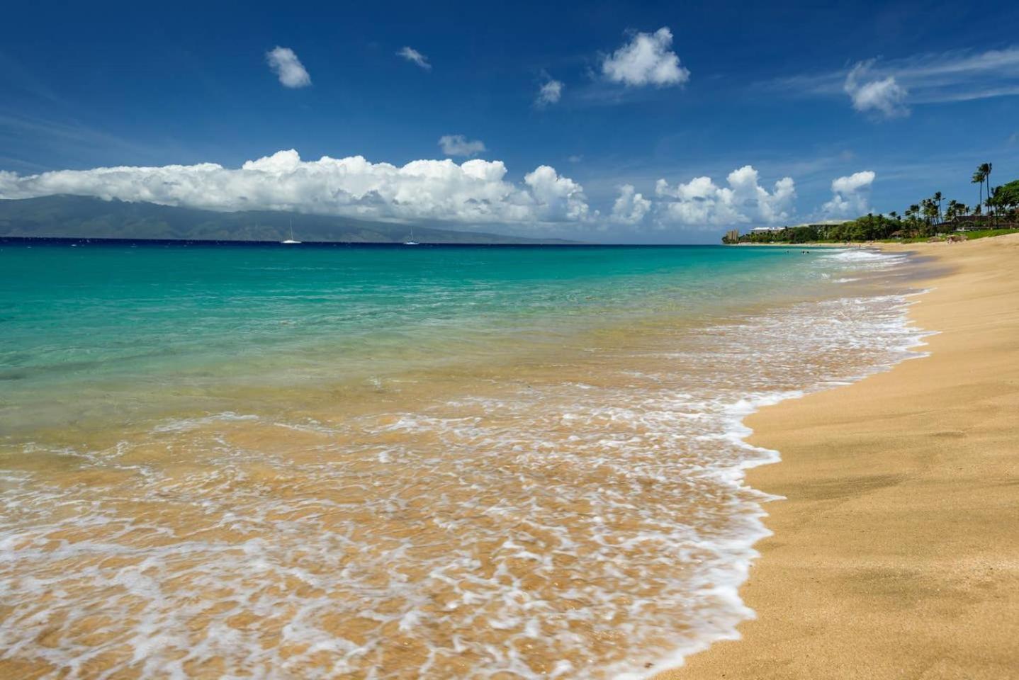 Maui El Dorado Resort photo 50