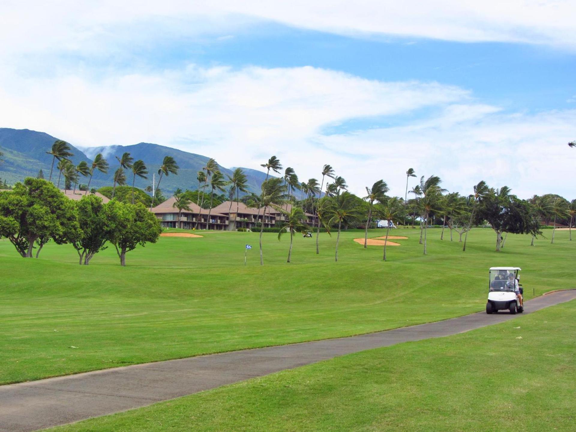 Maui El Dorado Resort photo 46