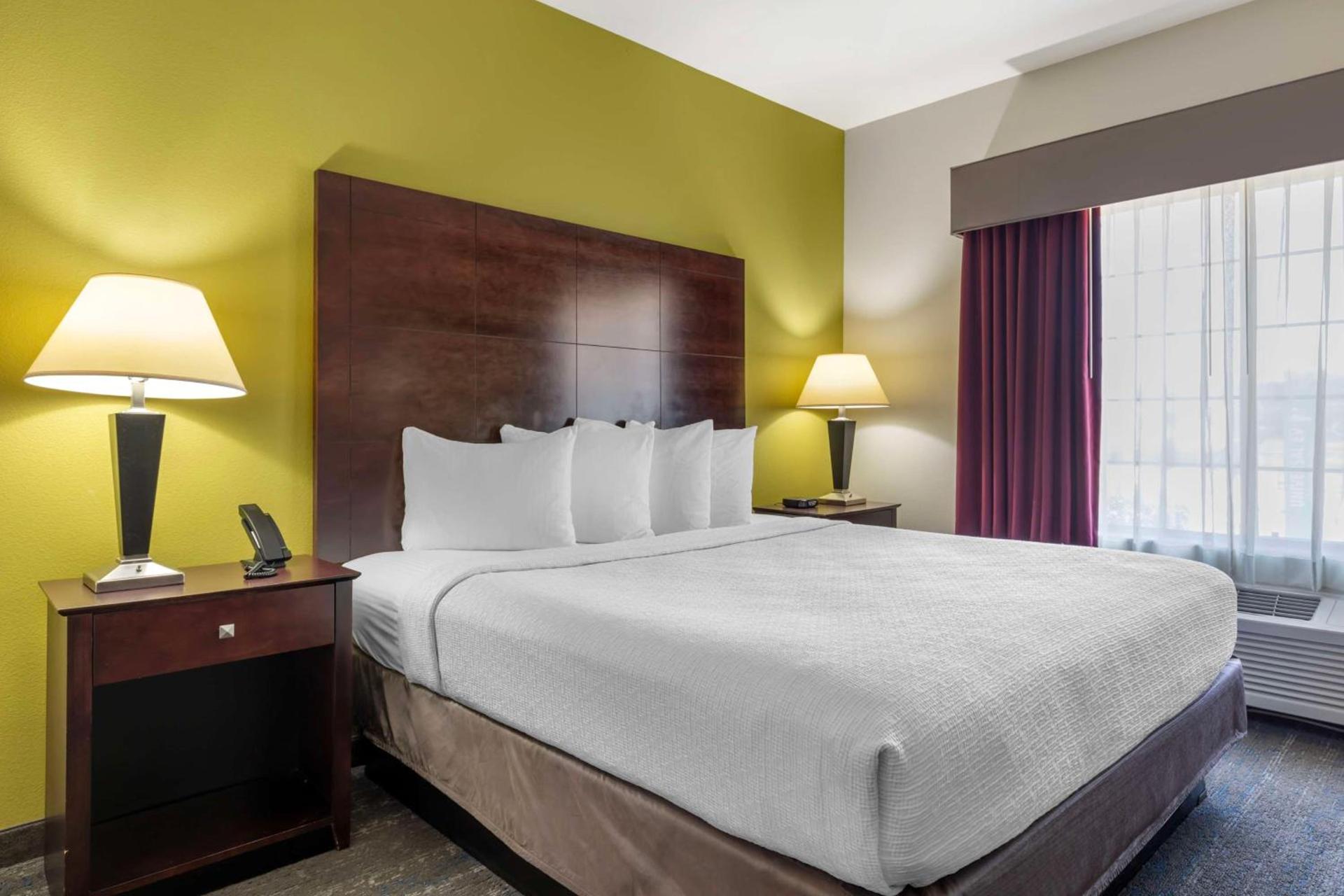Best Western Plus Mansfield Inn & Suites photo 54