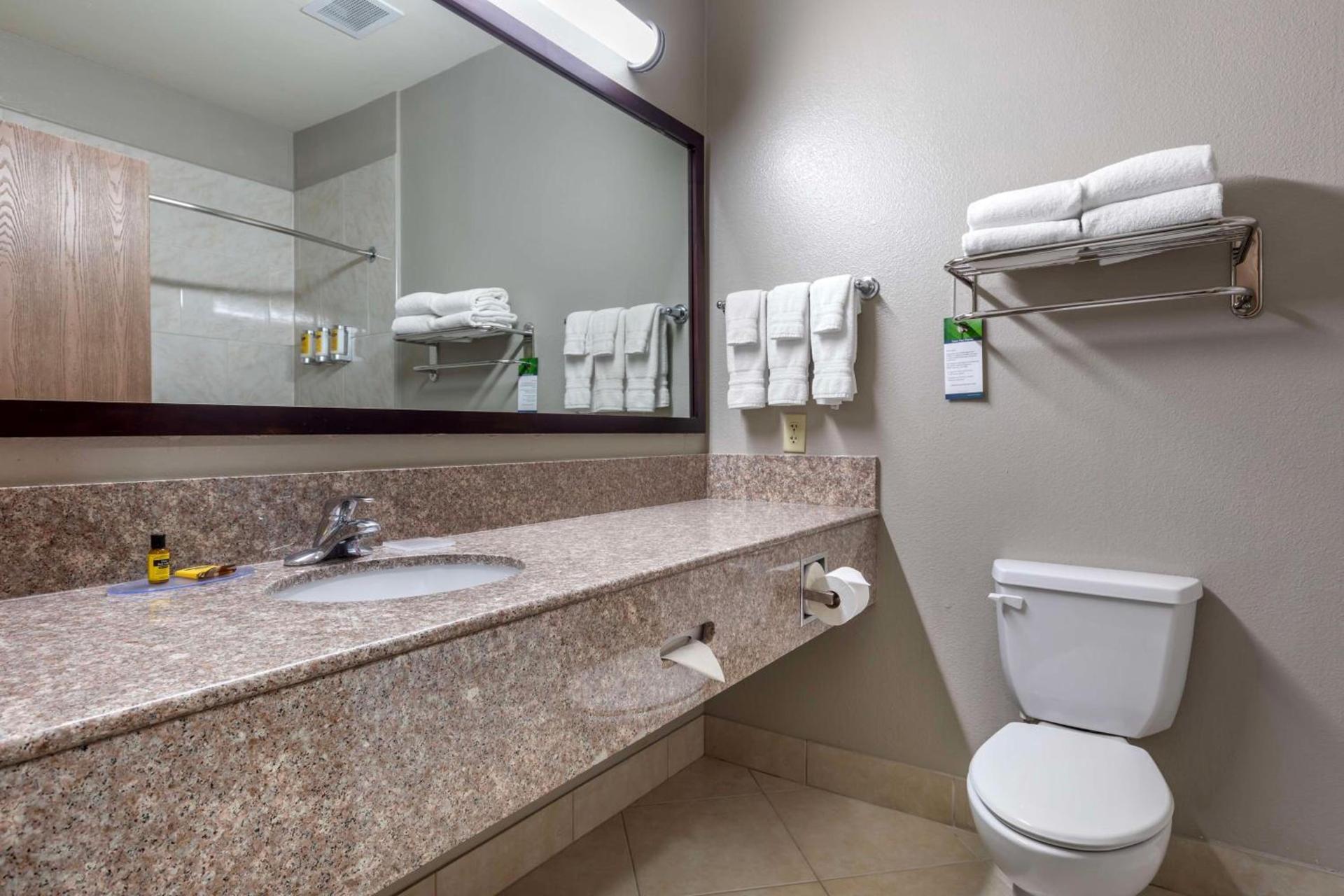 Best Western Plus Mansfield Inn & Suites photo 8