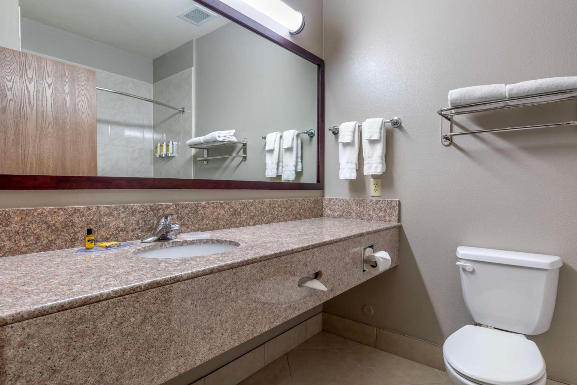 Best Western Plus Mansfield Inn & Suites photo 11