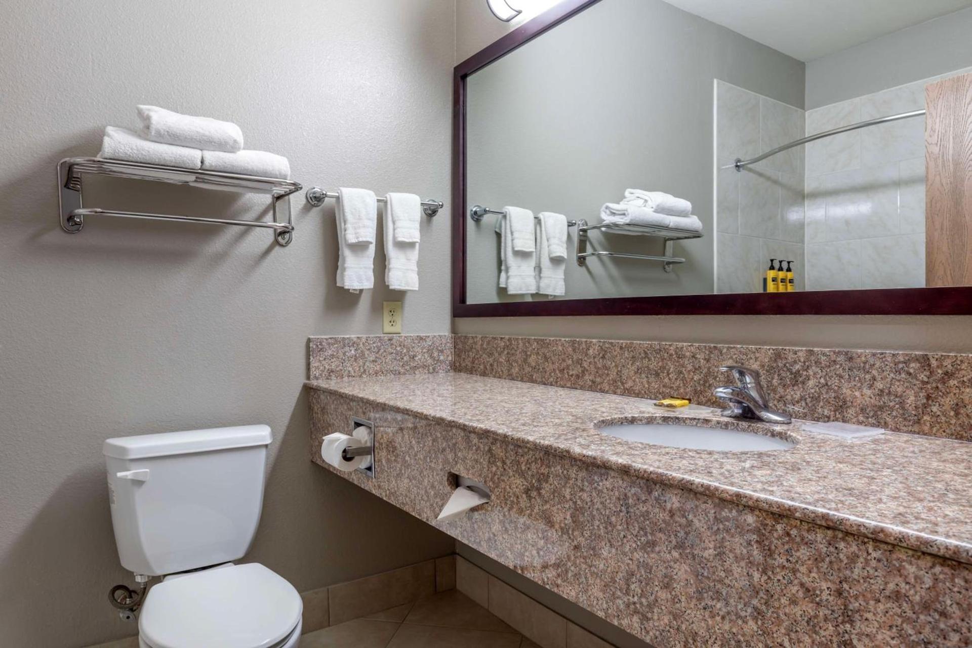 Best Western Plus Mansfield Inn & Suites photo 15