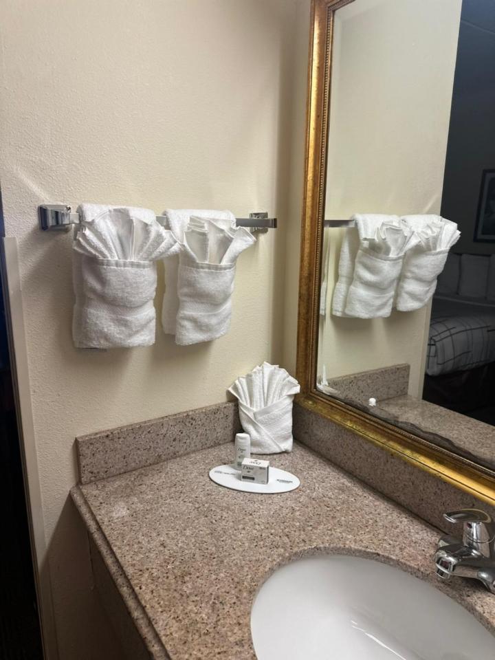 La Quinta Inn & Suites by Wyndham Sawgrass photo 47