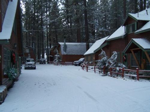 Golden Bear Cottages photo 4