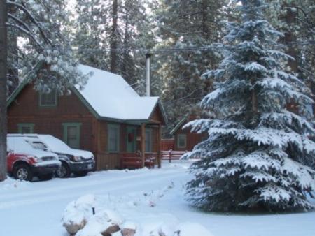 Golden Bear Cottages photo 5