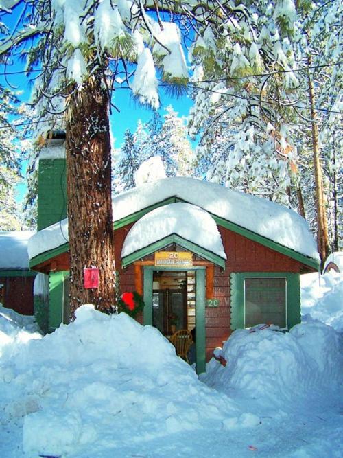 Golden Bear Cottages photo 12