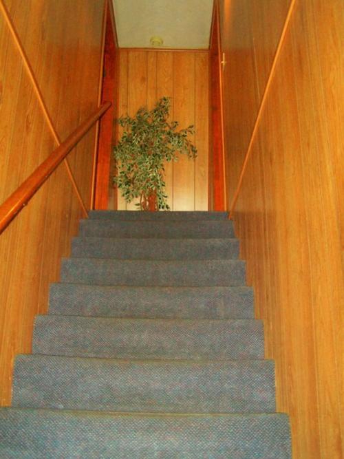 Golden Bear Cottages photo 80