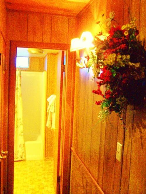 Golden Bear Cottages photo 88