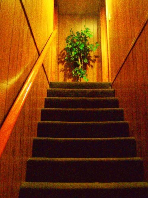 Golden Bear Cottages photo 89