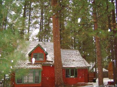 Golden Bear Cottages photo 46