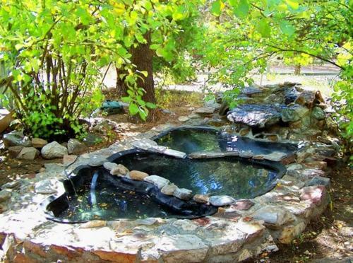 Golden Bear Cottages photo 8