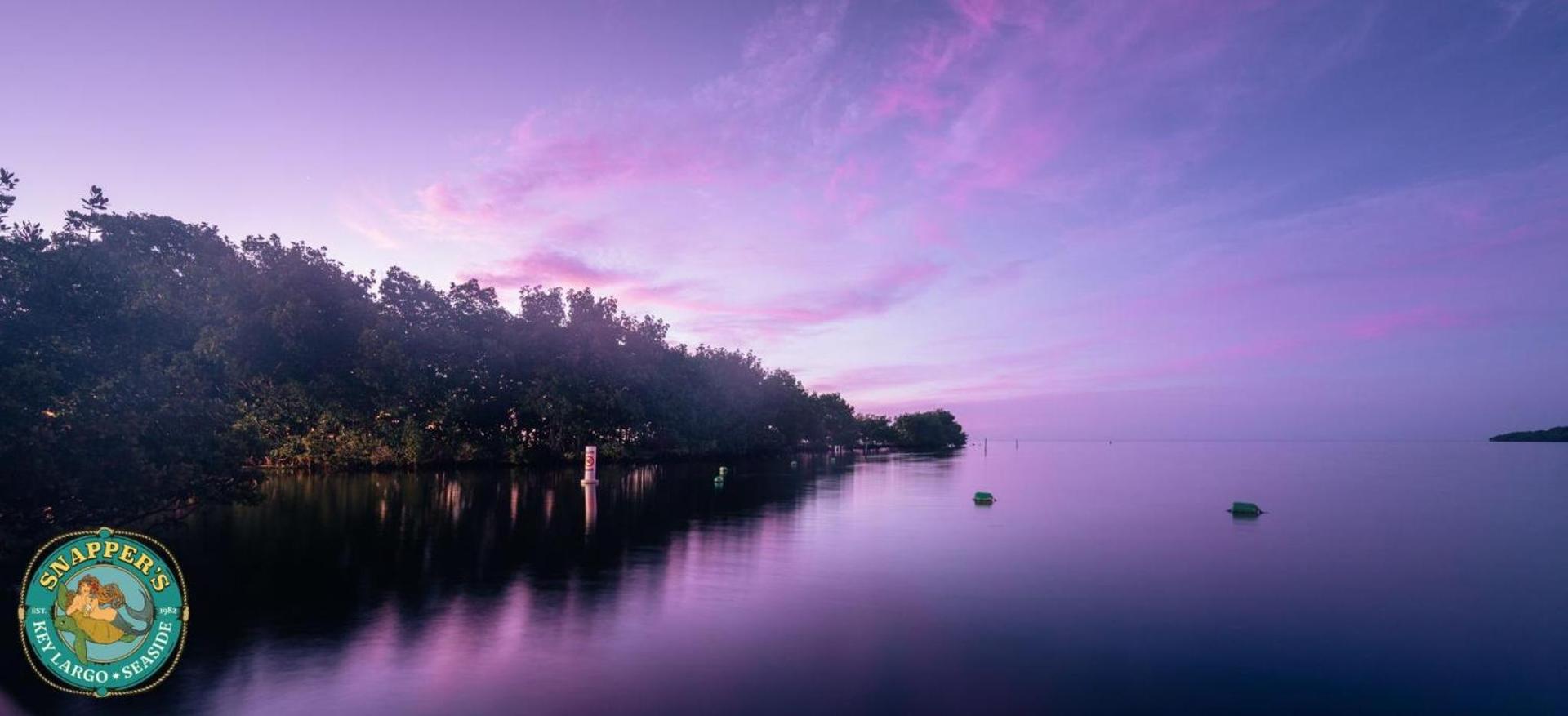 Snappers Key Largo photo 4