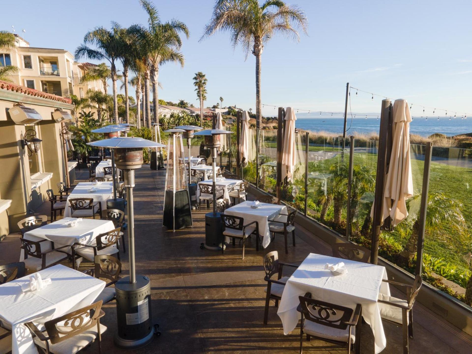 Dolphin Bay Resort and Spa photo 30