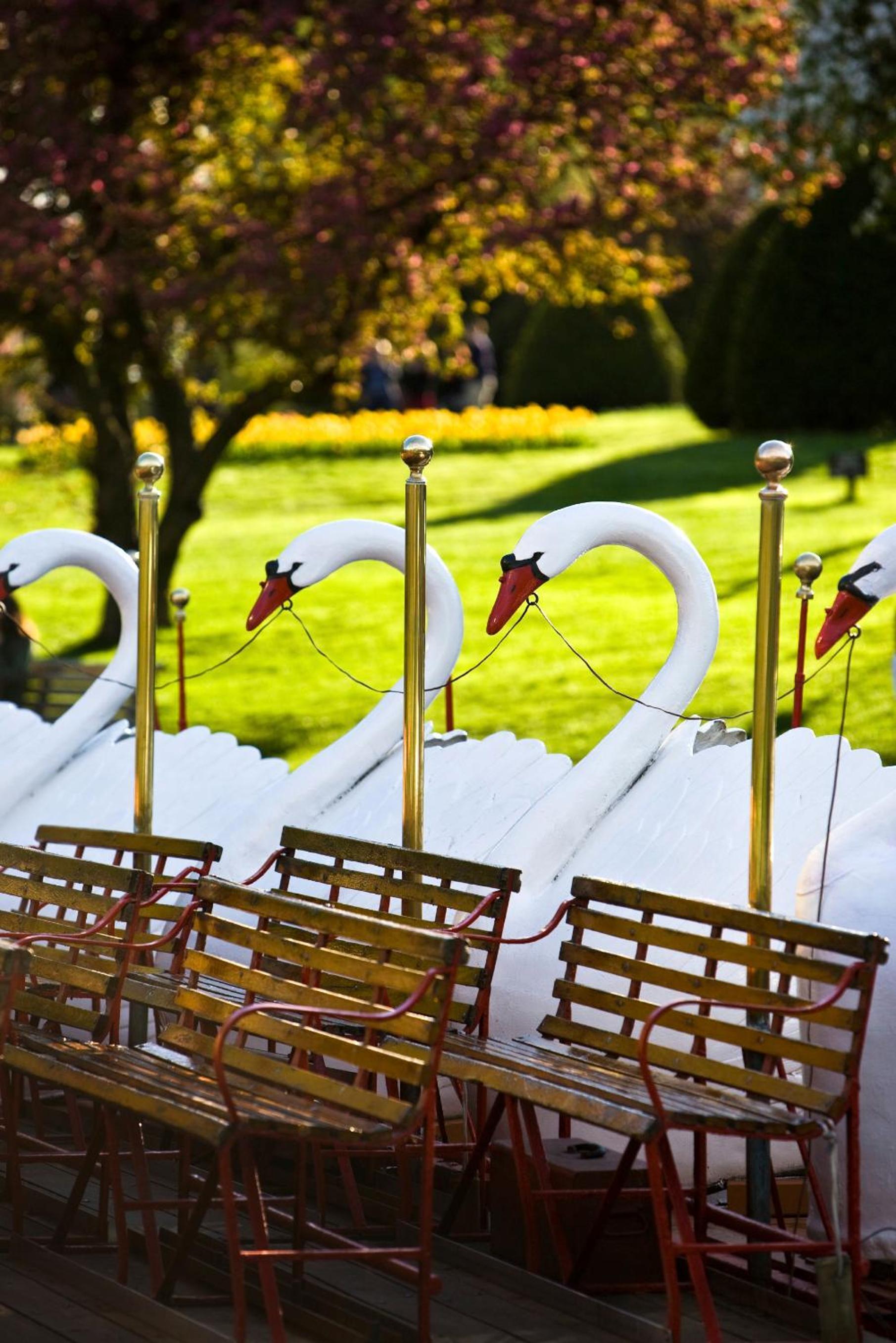 Mandarin Oriental, Boston photo 19