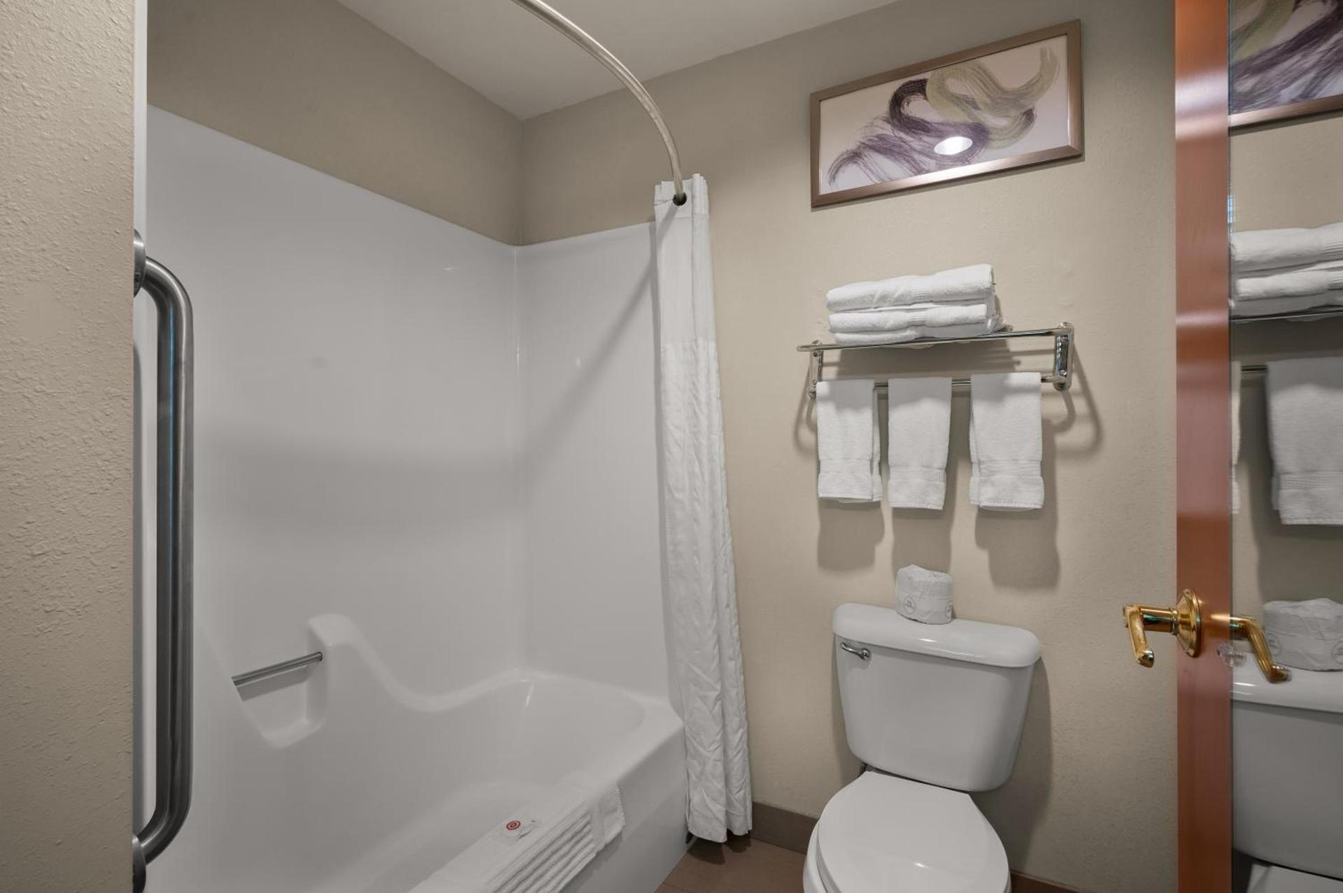 Comfort Inn & Suites Fenton photo 22