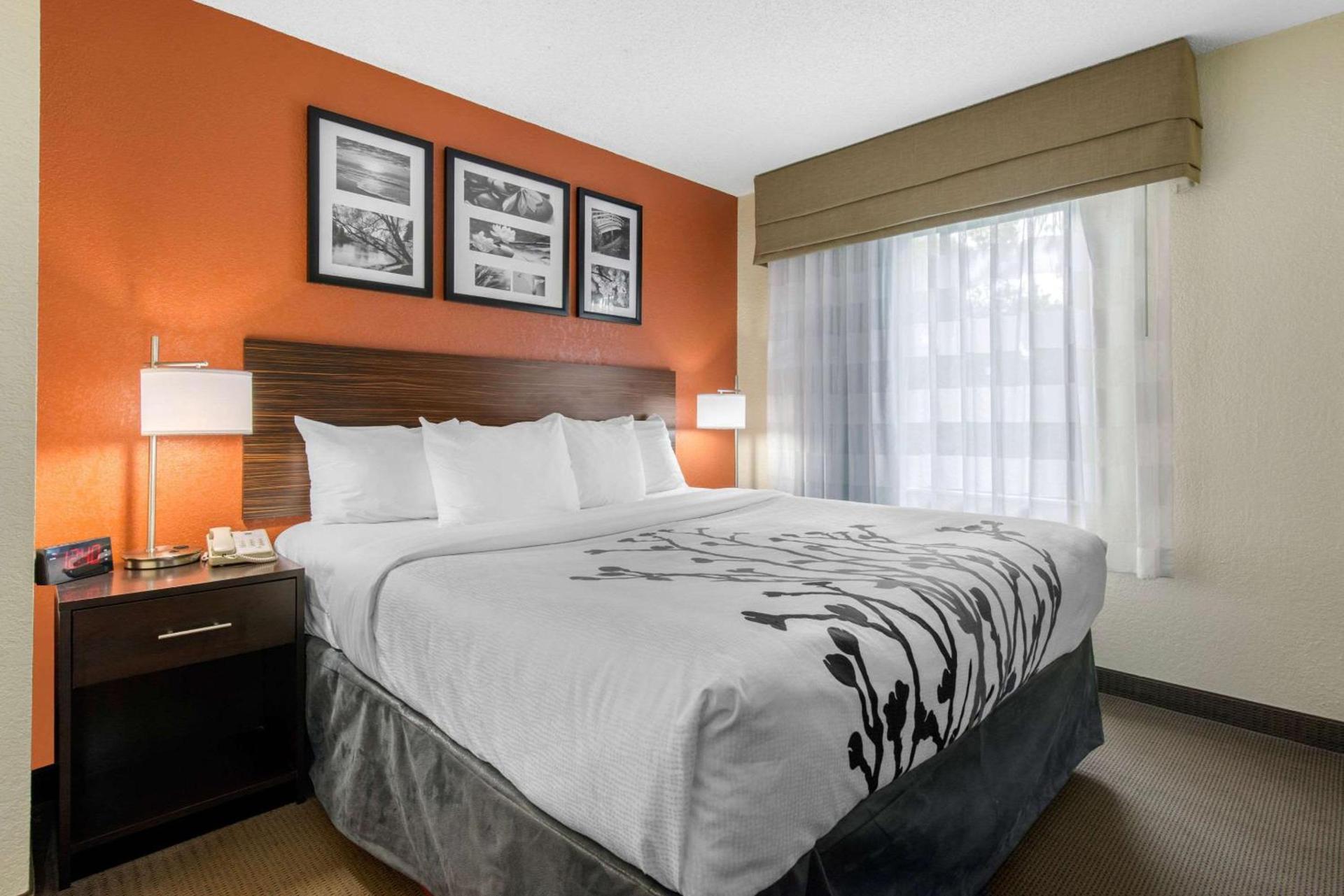 Sleep Inn Sarasota North photo 3