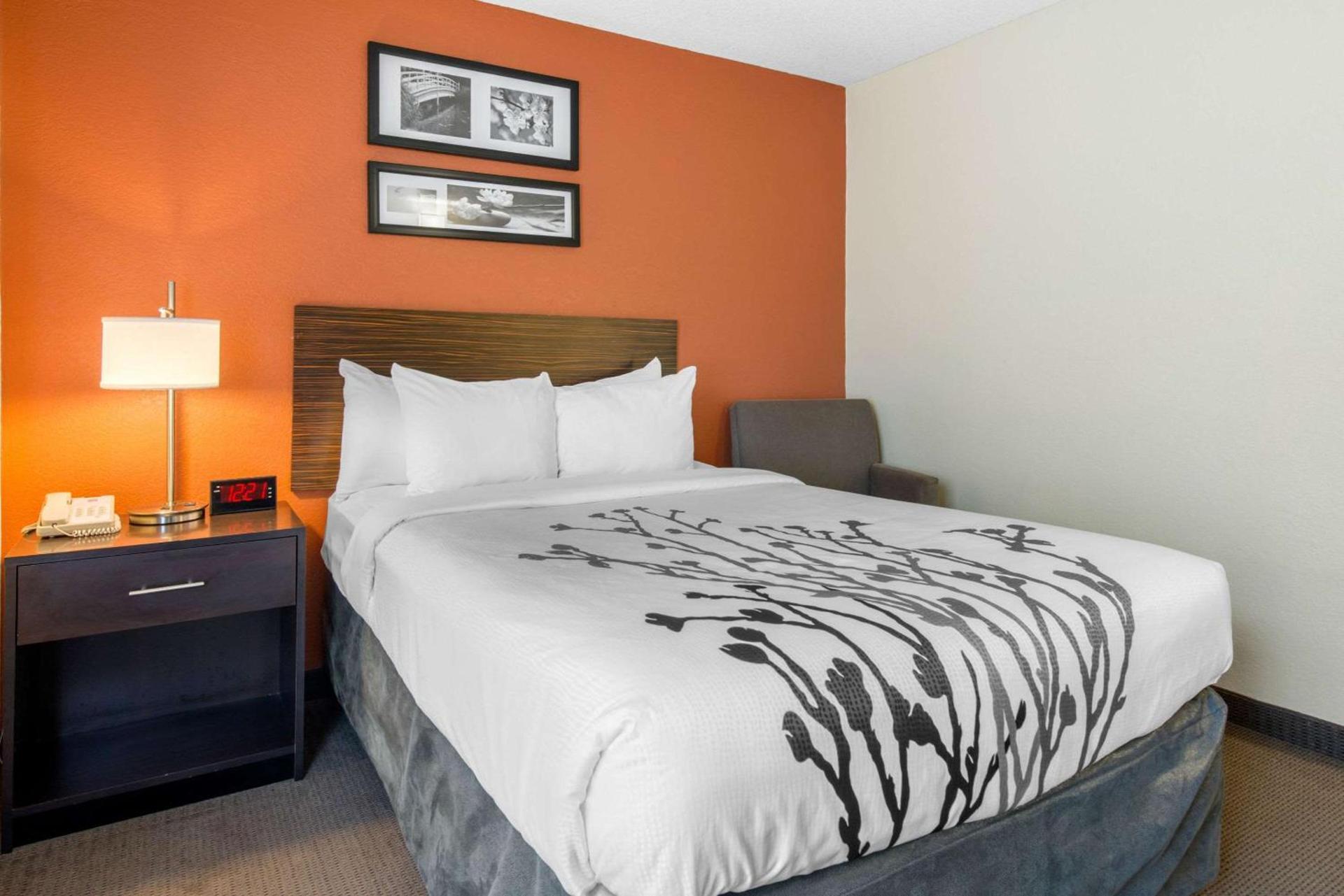 Sleep Inn Sarasota North photo 20