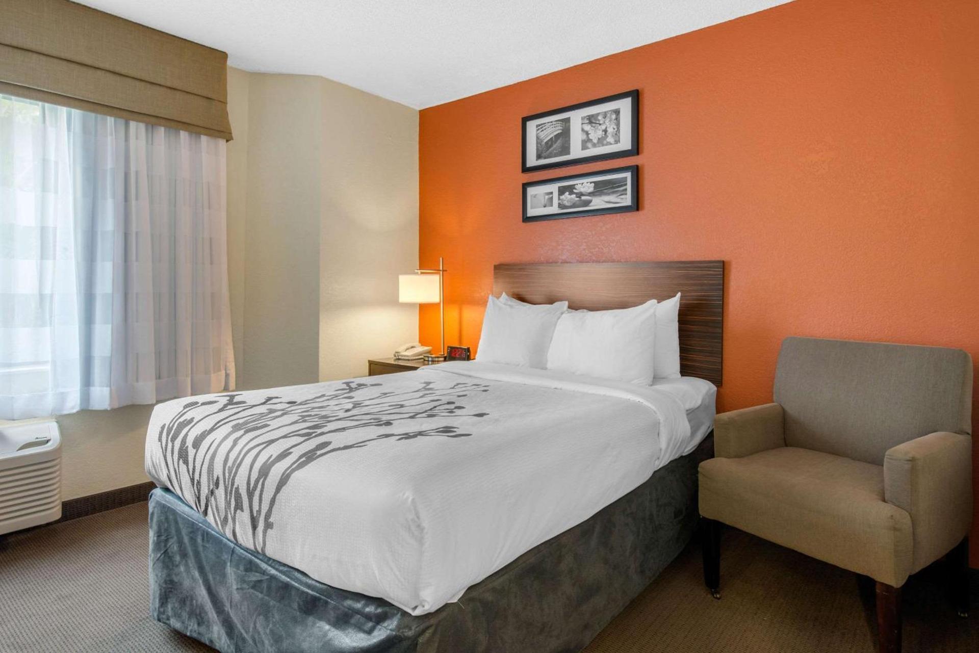 Sleep Inn Sarasota North photo 21