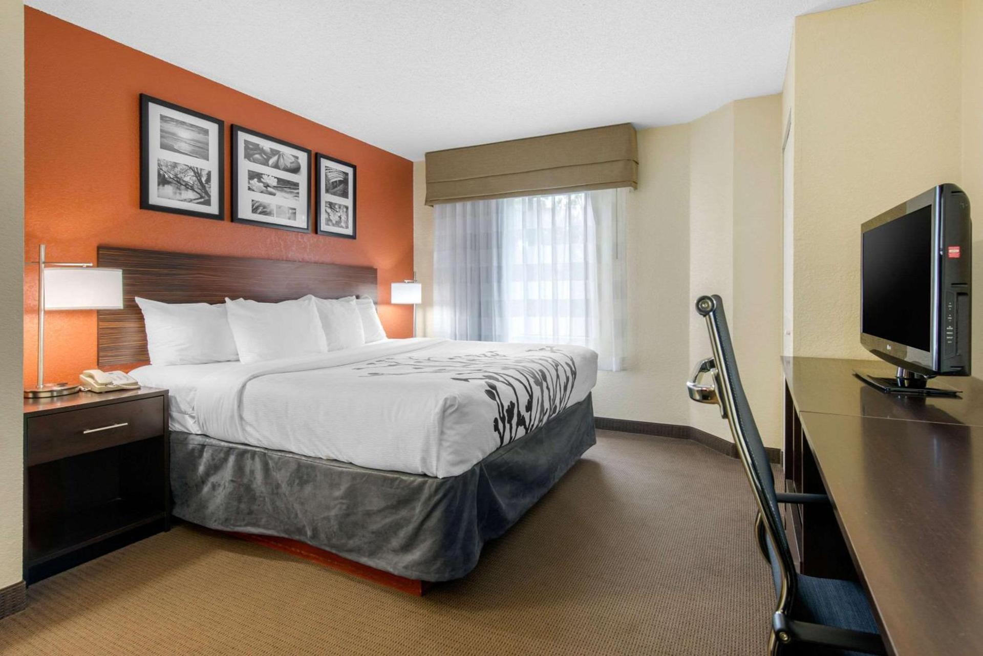 Sleep Inn Sarasota North photo 23