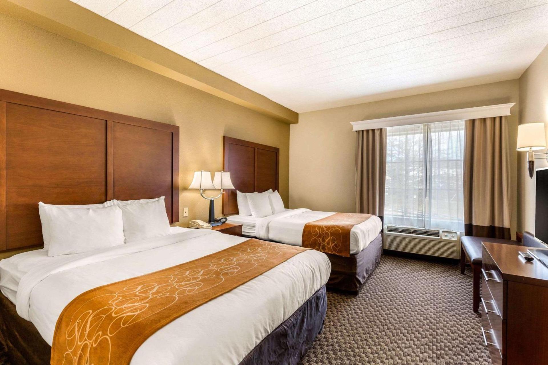 Comfort Suites Elkridge Columbia Gateway photo 11