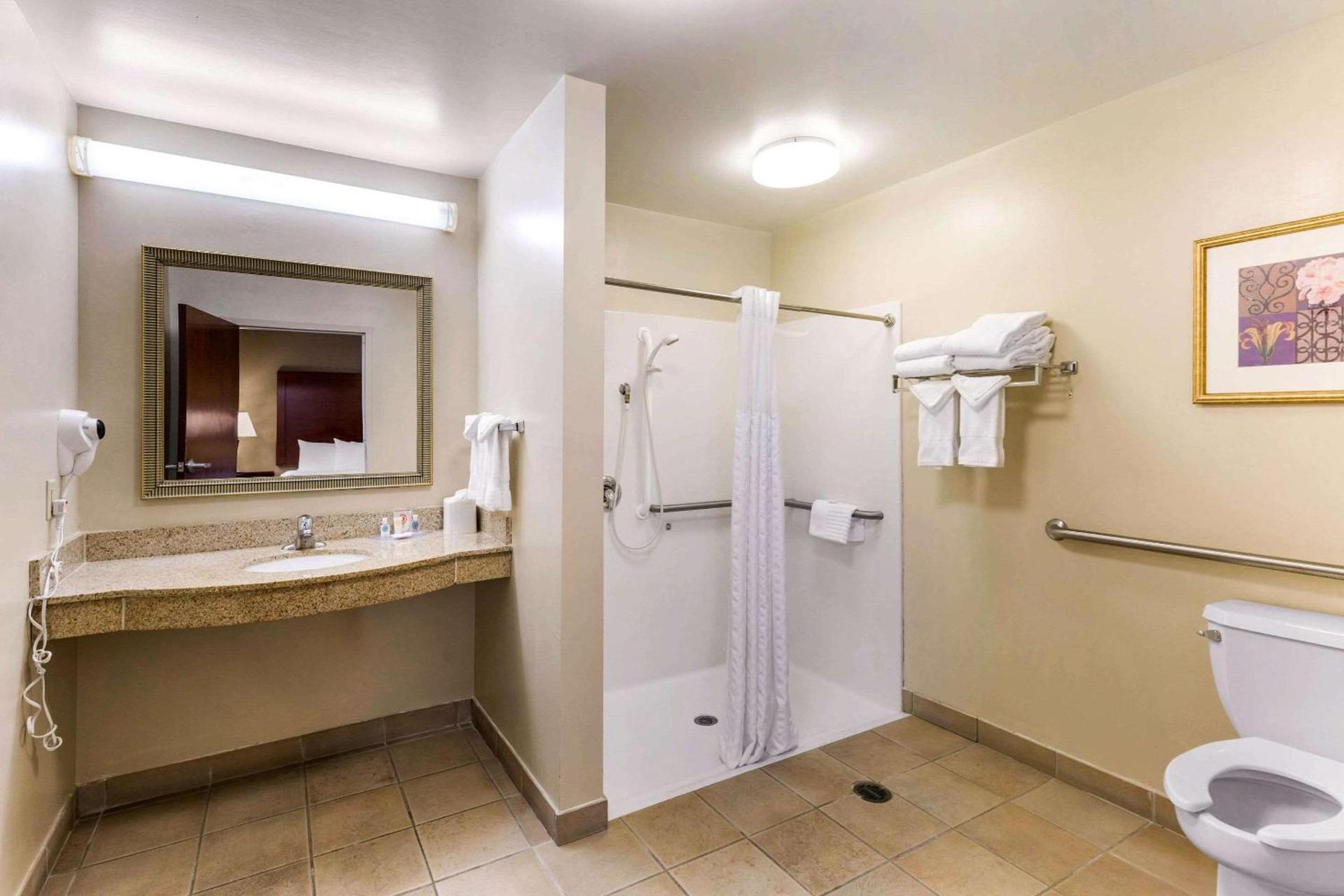 Comfort Suites Elkridge Columbia Gateway photo 17