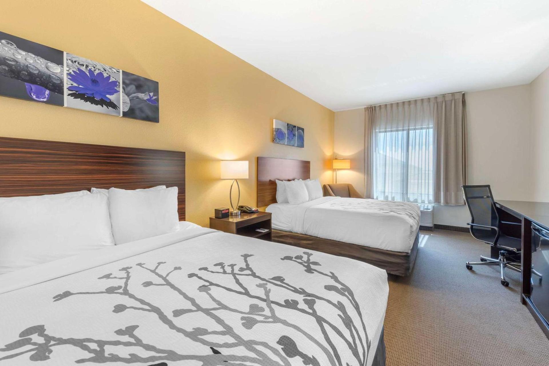 Garner Hotel Norman - University Area by IHG photo 23