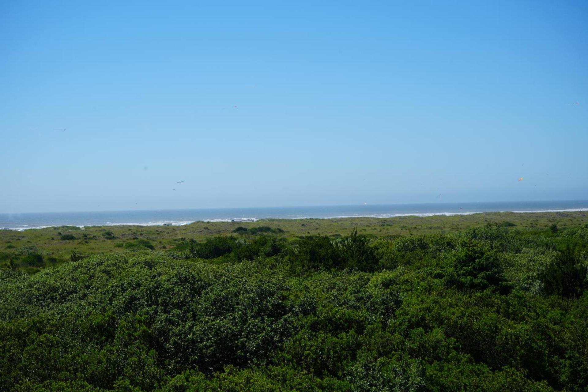 Ocean Parradise Hotel and Resort photo 18